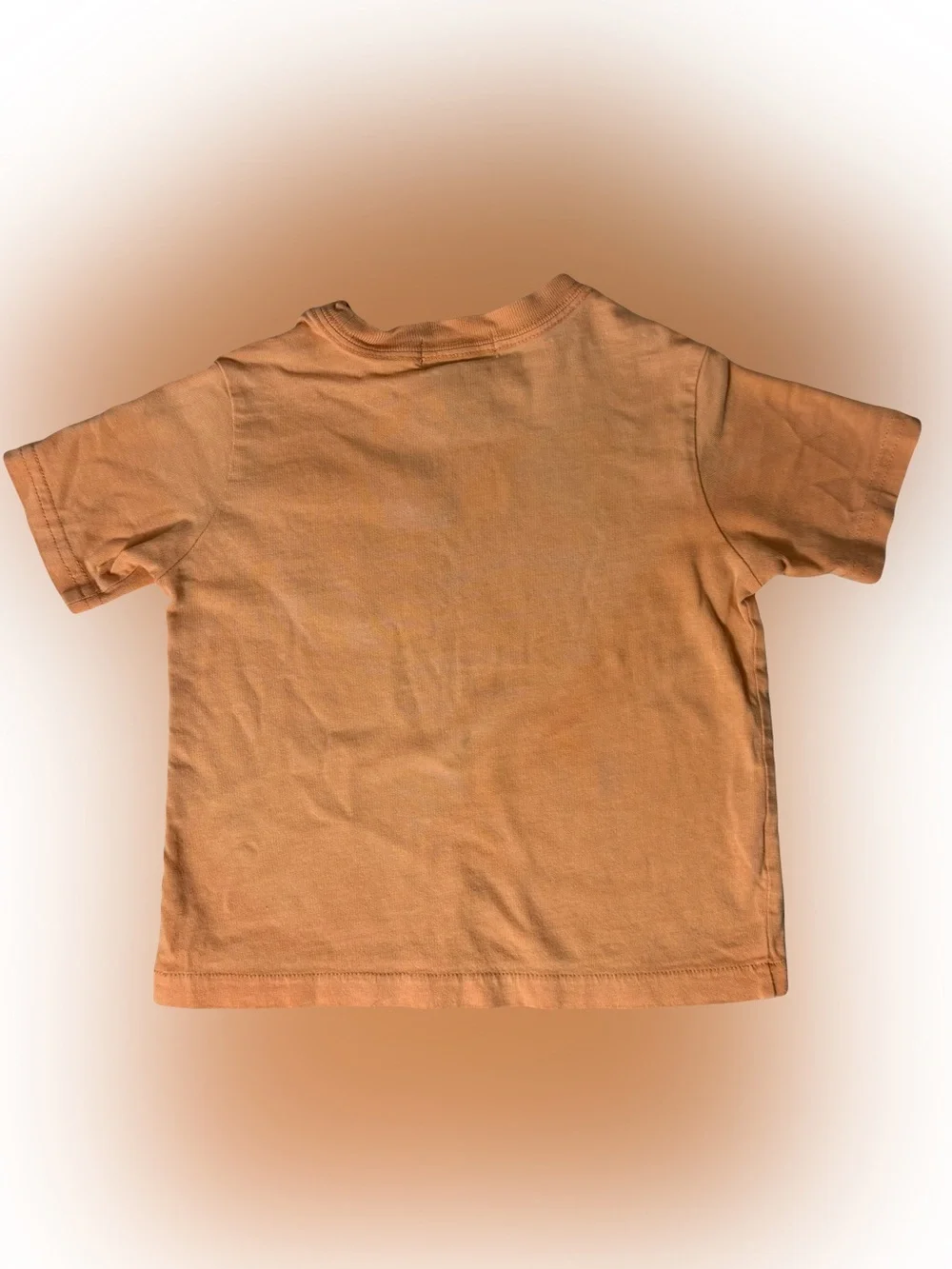 Ralph Lauren Orange Short-Sleeve Pocket Tee with Navy Pony